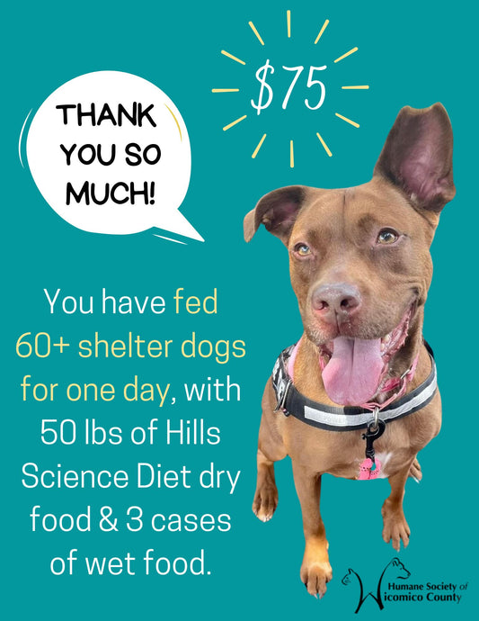 Feed Shelter Dogs For 1 Day - $75