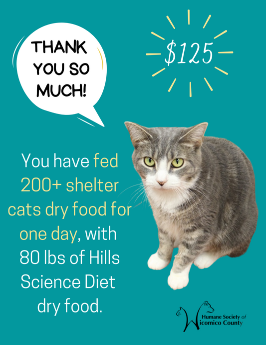 Feed Shelter Cats Dry Food For 1 Day - $125