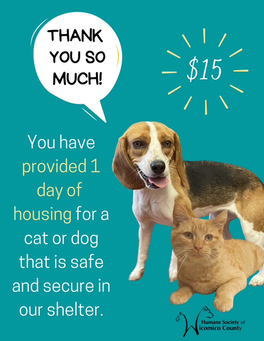 1 Day of Housing for a Cat or Dog - $15